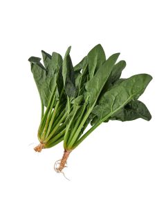 ผักขม ปวยเหล็ง Chinese Spinach