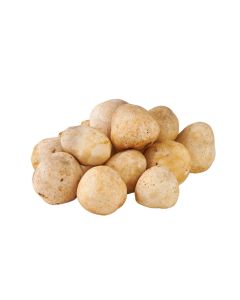 เห็ดฟาง Straw Mushroom