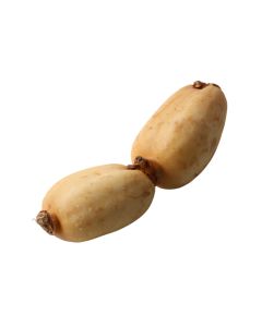 รากบัว Lotus Root