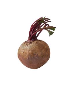 บีทรูทหัวใหญ่ Jumbo Beetroot