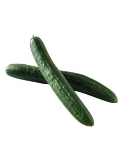 แตงกวาญี่ปุ่น Japanese Cucumber