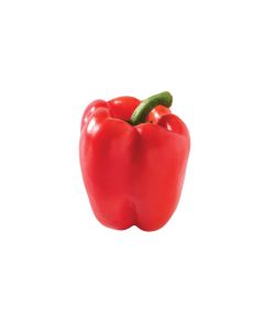 พริกหวานแดง Red Bell Pepper