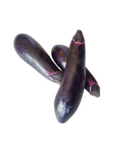 มะเขือม่วงยาวก้านดำ Long Eggplant