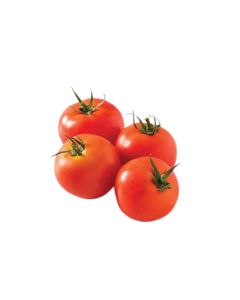 มะเขือเทศเนื้อ Tomato Beef