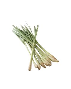 ตะไคร้ Lemon Grass