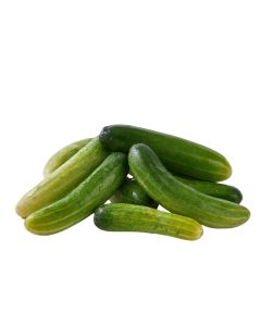 แตงกวา Small Cucumber