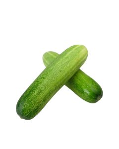 แตงร้าน Big Cucumber