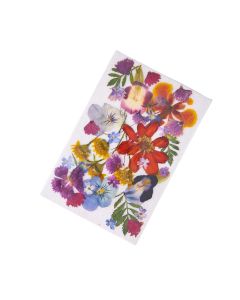 ดอกไม้แห้งคละ Mixed Edible Dried Flowers