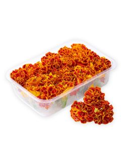 ดอกดาวเรือง Marigold