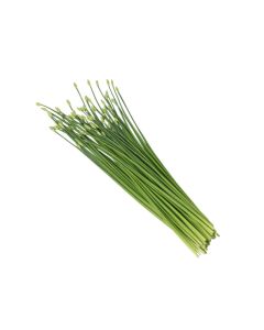 ดอกกุ้ยช่าย Chive Flower